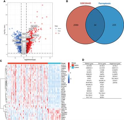 Diagnostic and Predictive Values of Ferroptosis-Related Genes in Child Sepsis